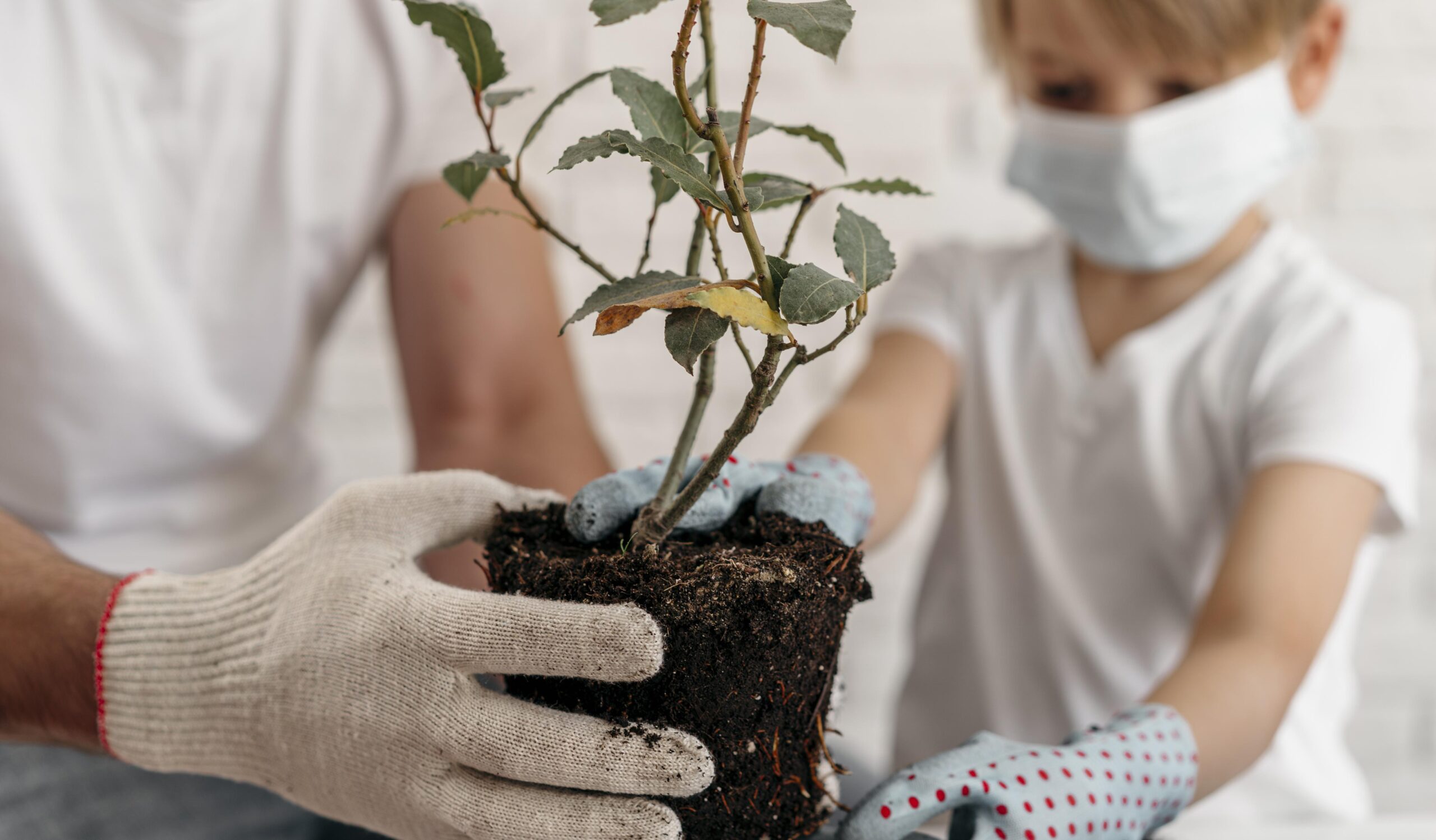 pai-e-filho-usando-mascaras-medicas-e-aprendendo-sobre-o-plantio